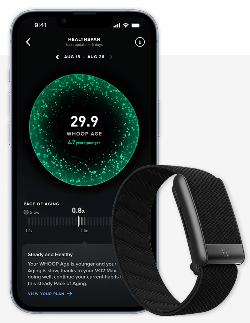 Aplicativo de monitoramento exibido no celular ao lado da pulseira